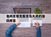平博网站-贵州先锋克服青岛大虎的强劲阵容