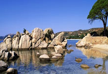 平博博彩-巴萨劲旅力挽狂澜蜕变重现辉煌