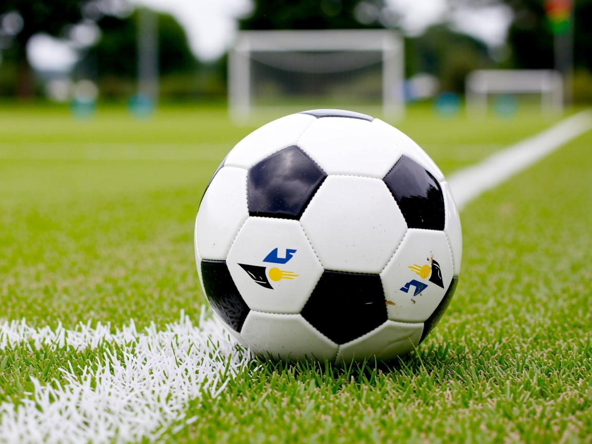 平博体育官网-亚冠焦点赛事观众期待值飙升,亚冠解析 第3张