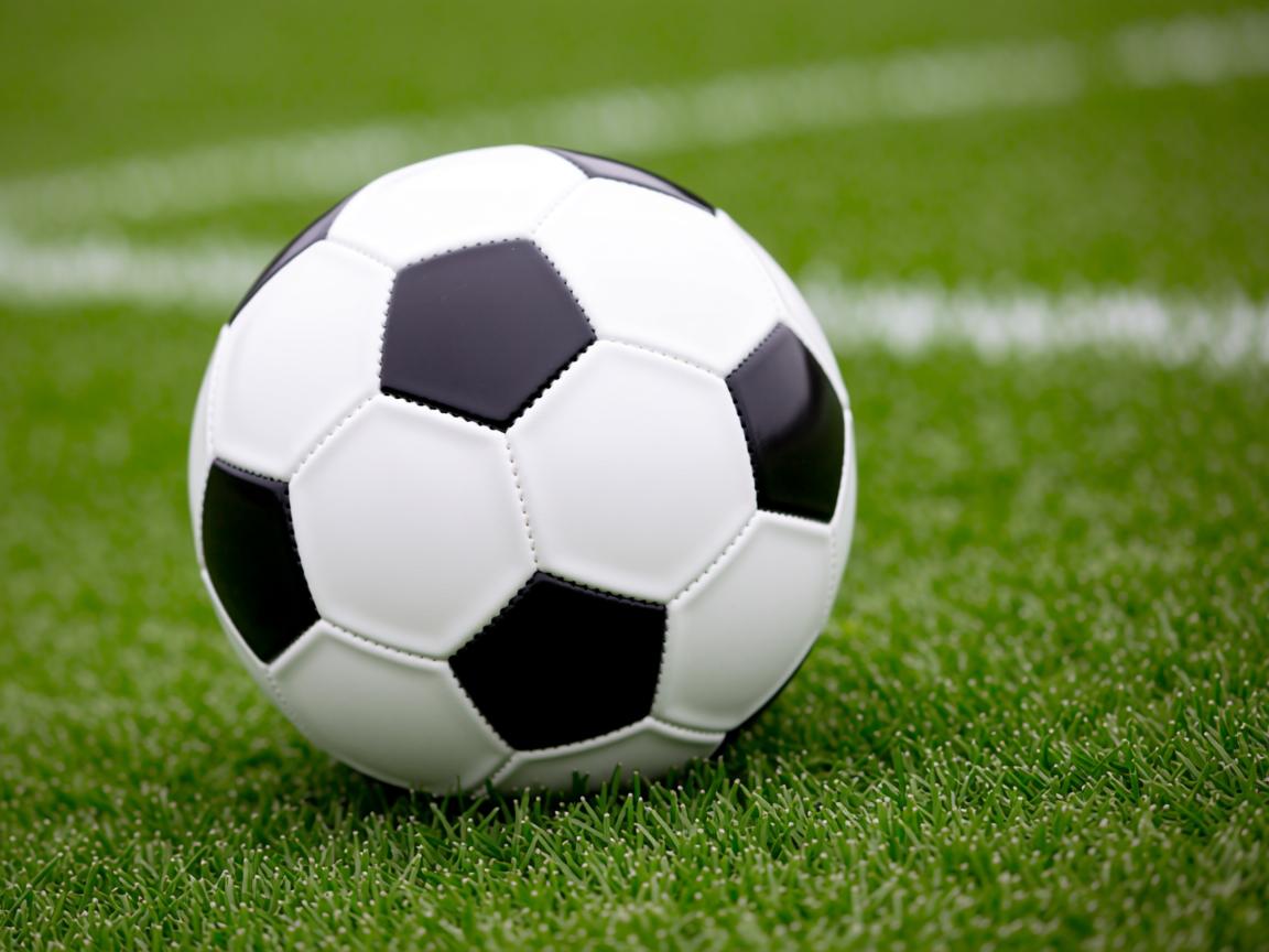 平博体育网站-国家队体能训练为何难跟国际接轨，国家队体能训练为何难跟国际接轨呢  第3张