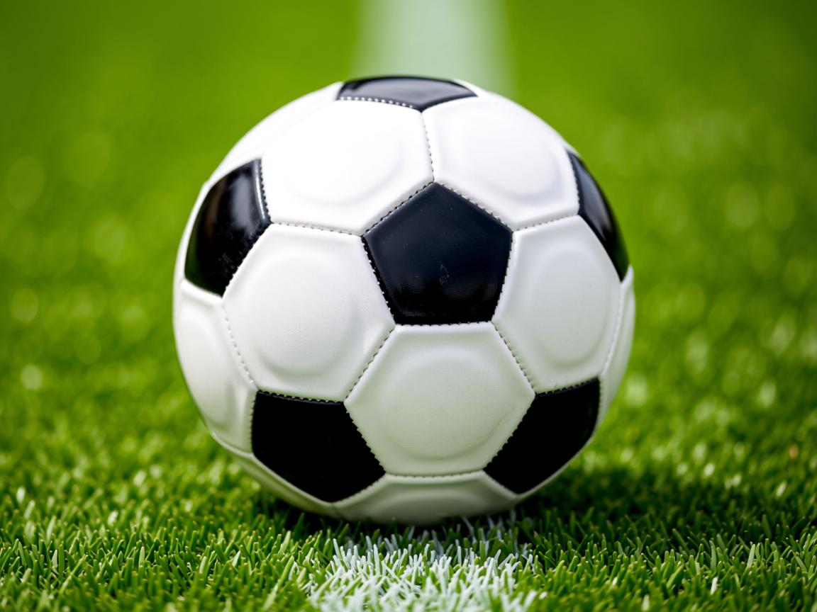 平博官网app-职业球队运营理念与现代趋势脱节，球队运营模式  第2张