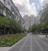 史旺西城客场竭力博万积极，挑战败血症小胜侥幸的简单介绍