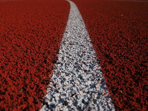 平博官网-田径项目专项训练成效显著，田径专项体能训练